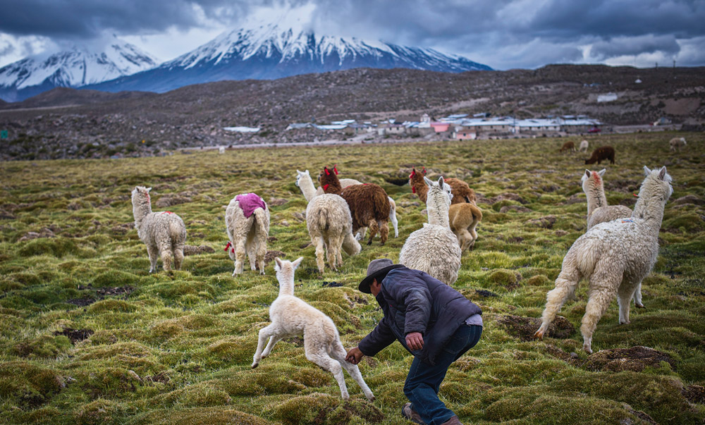 Elegidos ganadores del VII Concurso de Fotografía Turística de APTUR Chile