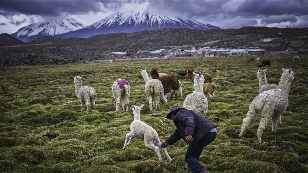 Elegidos ganadores del VII Concurso de Fotografía Turística de APTUR Chile