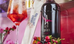 Alto Del Carmen High Berries, el nuevo sabor del spritz para los momentos de siempre