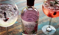 Emprendedores chilenos compiten con novedoso “gin rosado” en reconocido  concurso internacional que premia a los mejores ginebras del mundo