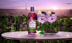 Nuevo Gin Tanqueray Royale hecho con berries francesas