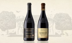 Enólogo de Viña Tarapacá recomienda dos vinos tintos para los buenos momentos