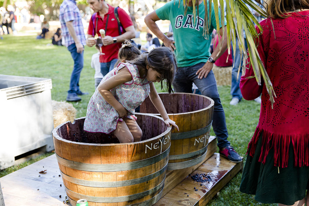 Feria Veramonte 2019