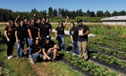 Inteligencia artificial al servicio de pequeños productores y agricultores