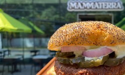 Mammaterra se posiciona como una de las mejores propuesta de comida rápida saludable y abre cuatro nuevos locales en Las Condes, Providencia y Puerto Varas