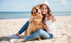 Vacaciones Pet Friendly: México, República Dominicana, Brasil y Santiago lideran destinos para viajar con mascotas 