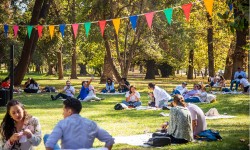 Vive este 18 de septiembre en las majadas 