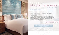 Especial día de la madre: sorpréndela con lo mejor junto a  The Ritz- Carlton, Santiago y su variedad de opciones para regalar