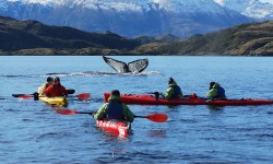 Estrecho de Magallanes