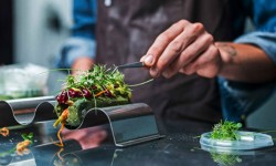 Congreso Internacional “Foodture”, la alimentación con una mirada de futuro