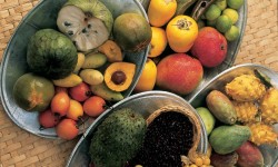 Exportadores De Superfoods Peruanos Presentan Oferta en Chile