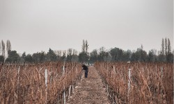 Guía práctica para tomar vino en invierno 