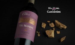 Mes del Carmenere 2019 en Viu Manent