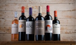 Viu Manent celebra el día del Malbec 