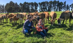 Lácteos y agroturismo a orillas del lago Llanquihue