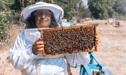 Las experiencias más sorprendentes de Turismo Rural para conocer los Campos de O’Higgins