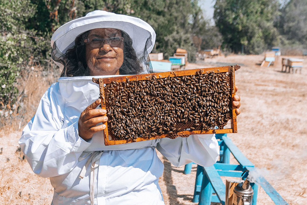 Las experiencias más sorprendentes de Turismo Rural para conocer los Campos de O’Higgins