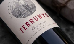 Terrunyo Carmenere celebra sus 20 años con vino de edición especial