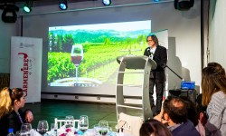 Concurso “Carmenère Al Mundo” 2022: Especialistas nacionales e internacionales elegirán el mejor vino de Chile