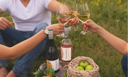 Esta primavera Viñedos Veramonte estrena entretenidos tour para amantes del vino, el outdoor y la diversión al aire libre