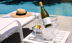 ¡Disfruta tu verano con la frescura de un Sauvignon Blanc!