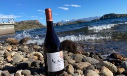 Expertos del mundo vitivinícola nacional se reúnen para conocer Keóken, el vino más austral del mundo