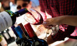 Viñas de Colchagua invita a celebrar una nueva vendimia con un evento diferente y especial, con aforo limitado