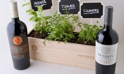 Viña Aresti presenta sus primeros 7 vinos veganos 