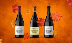 Tres vinos tintos para la temporada otoñal