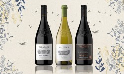 Buenos vinos para la temporada primaveral 