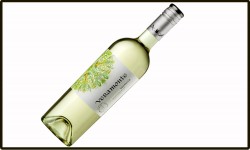 Viñedos Veramonte nuevamente marca pauta y adelanta el lanzamiento de la cosecha 2022 de su Sauvignon Blanc Orgánico