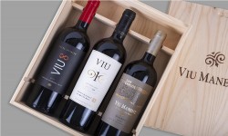 Viu Manent celebra el mes del Malbec con entretenidas actividades para los amantes del vino