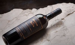 Carmenere Casillero del Diablo