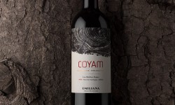 Coyam de Emiliana entre los 10 mejores vinos orgánicos del mundo