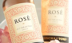 Rose Concha y Toro