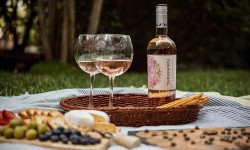 Veramonte Rosé Syrah Reserva 2019