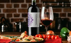 Viñedos Veramonte propone Merlot Reserva 2018