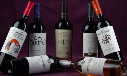 Viu Manent Mes del Malbec 2019