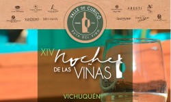 XIV NOCHE DE LAS VIÑAS 2019