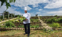 VIAJE CULINARIO POR JAMAICA