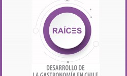 RAÍCES