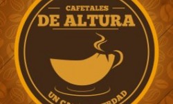 Cafetales de Altura