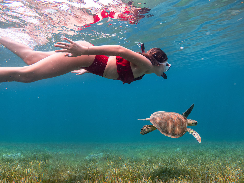 El destino ideal para los amantes de la naturaleza y la historia 