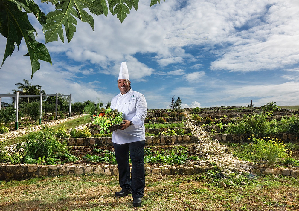 VIAJE CULINARIO POR JAMAICA