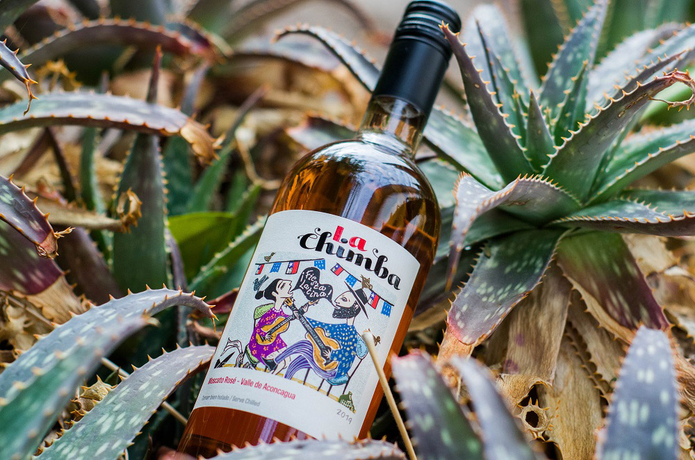 “La Chimba”: una nueva línea de vinos se suma al portafolio de Viña San Esteban