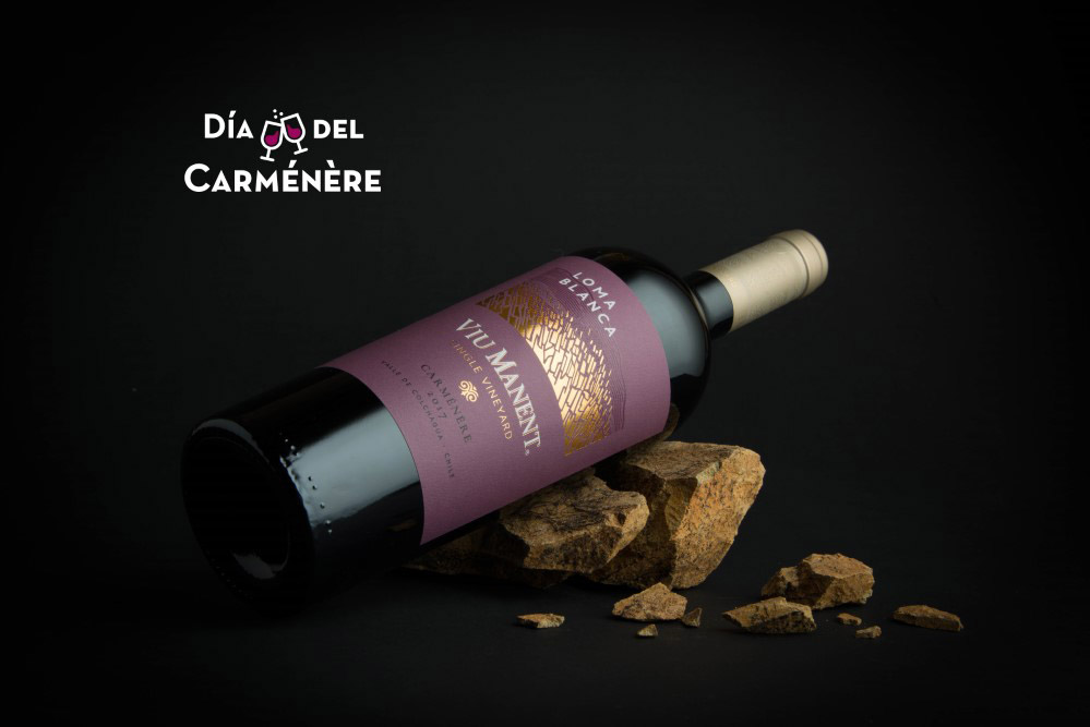 Mes del Carmenere 2019 en Viu Manent