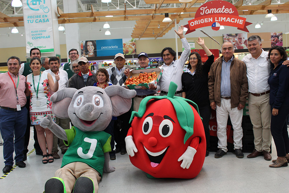 TOMATE LIMACHINO ANTIGUO