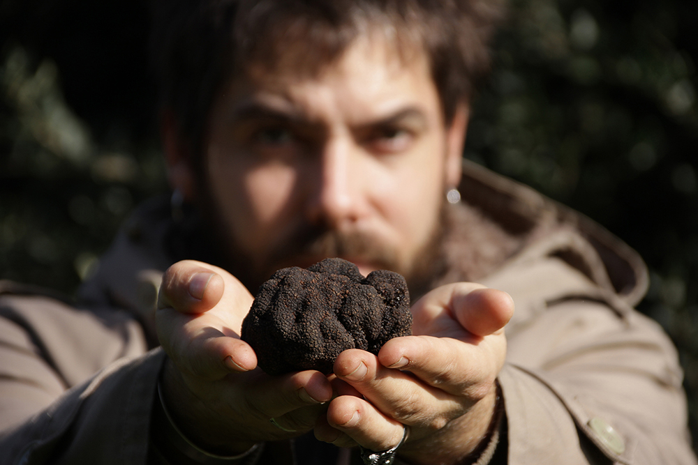 El atractivo oro negro que innova en la gastronomía