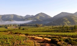 Viñas Valle del Maipo