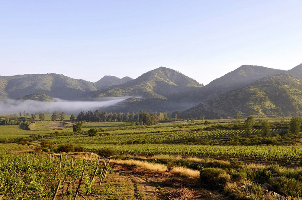 Viñas Valle del Maipo